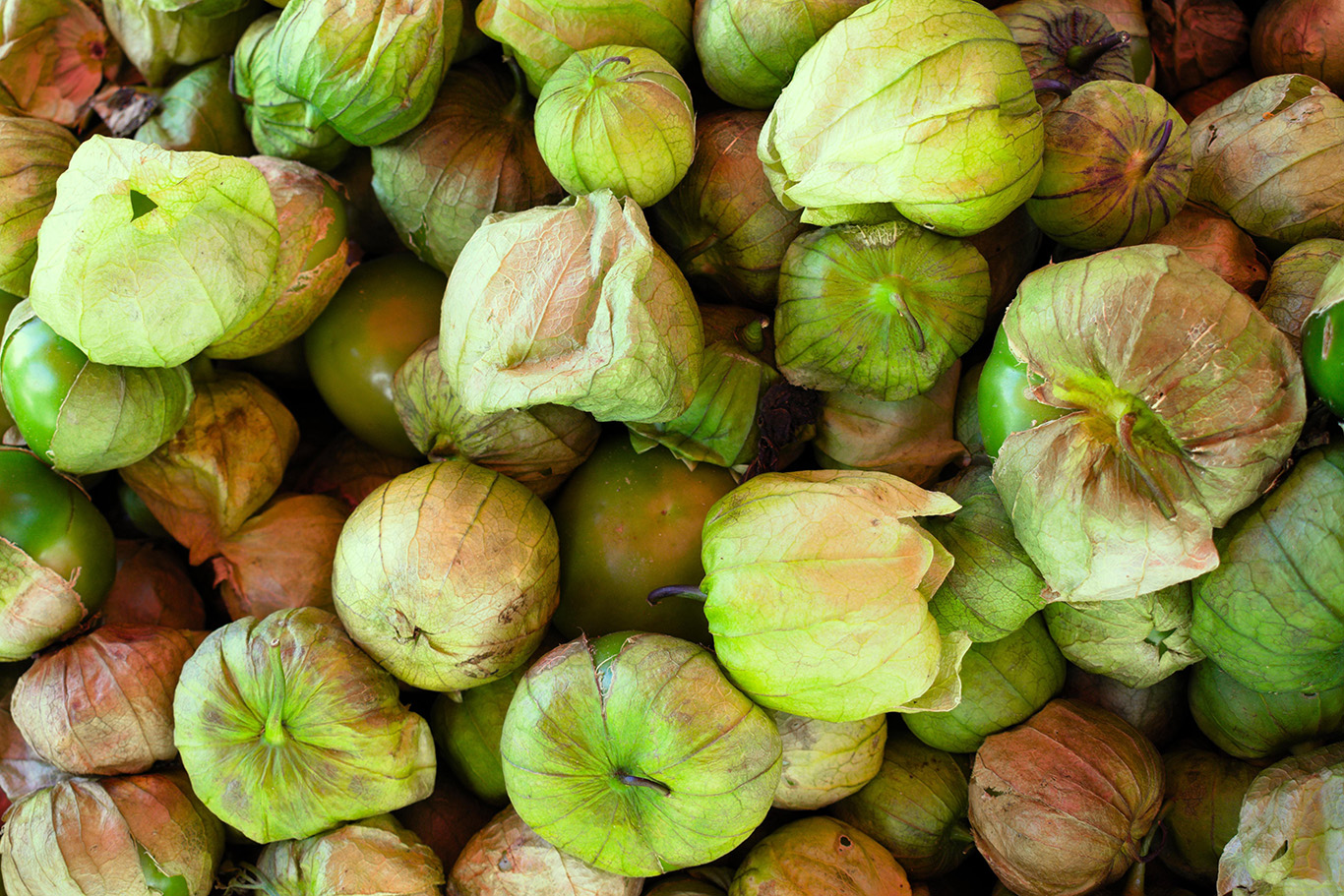 Fruits of the land used in recados