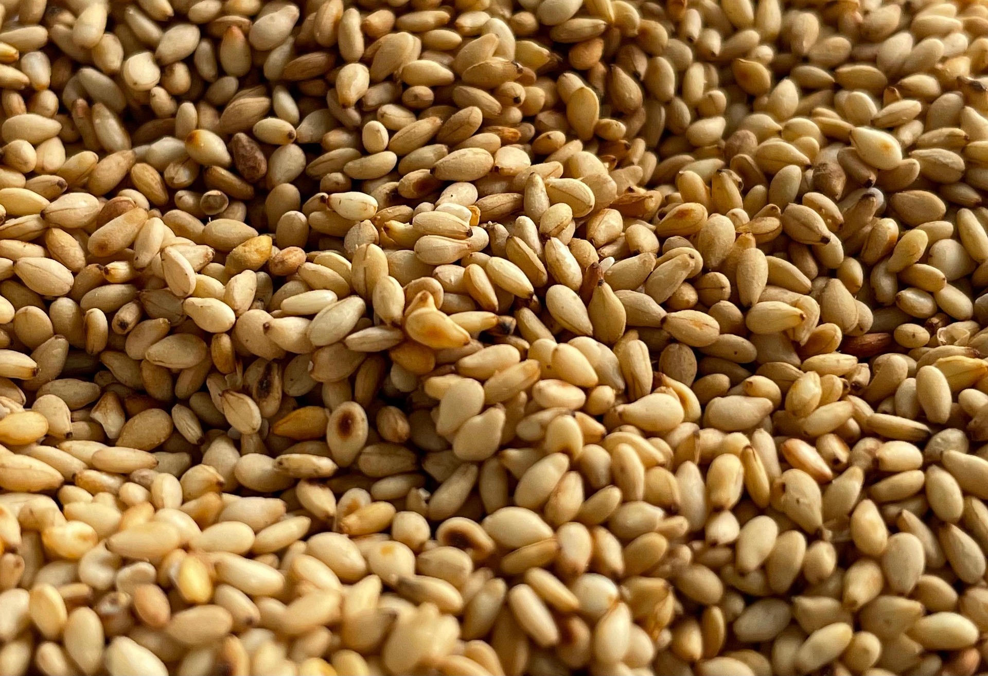 Especias y condimentos tradicionales
